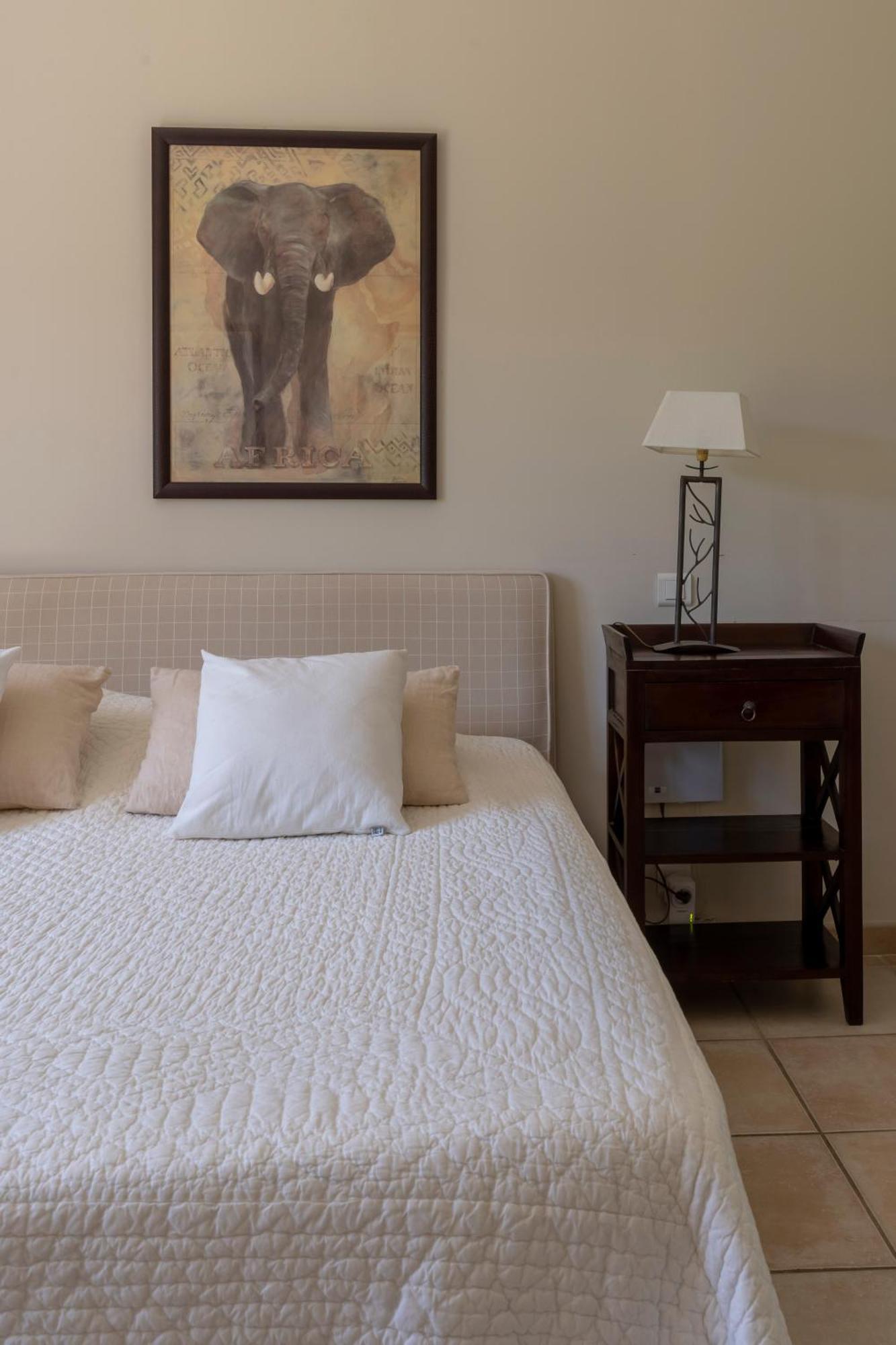 Villa Indigo Saint-Rémy-de-Provence 外观 照片